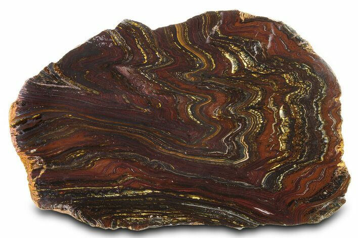 Polished Tiger Iron Stromatolite Slab - Billion Years #317892